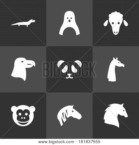 Set Of 9 Brute Icons Set.Collection Of Sea Bird, Steed, Hoss And Other Elements.