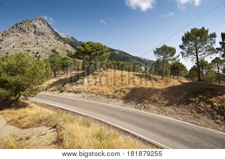 Views of Grazalema Natural Park from Boyar Mountain Pass, Cadiz, Andalusia, Spain