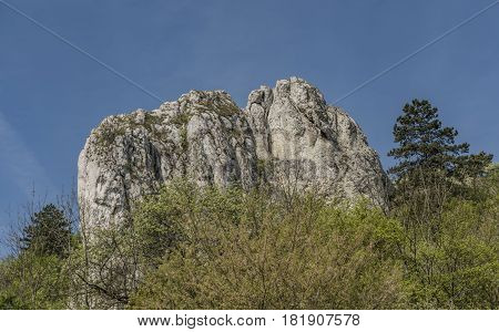 Nice sunny spring near Klentnice village in Palava area