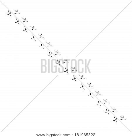 Heron Footprints Vector