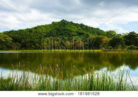 Forest And Mountain In Thailand With Green Grass And Lagoon In Foreground And Blue Sky In Background