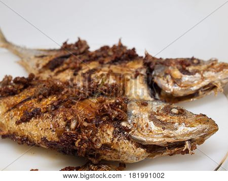 (Close up) Mackerel fish fry in a plate. healthy food.