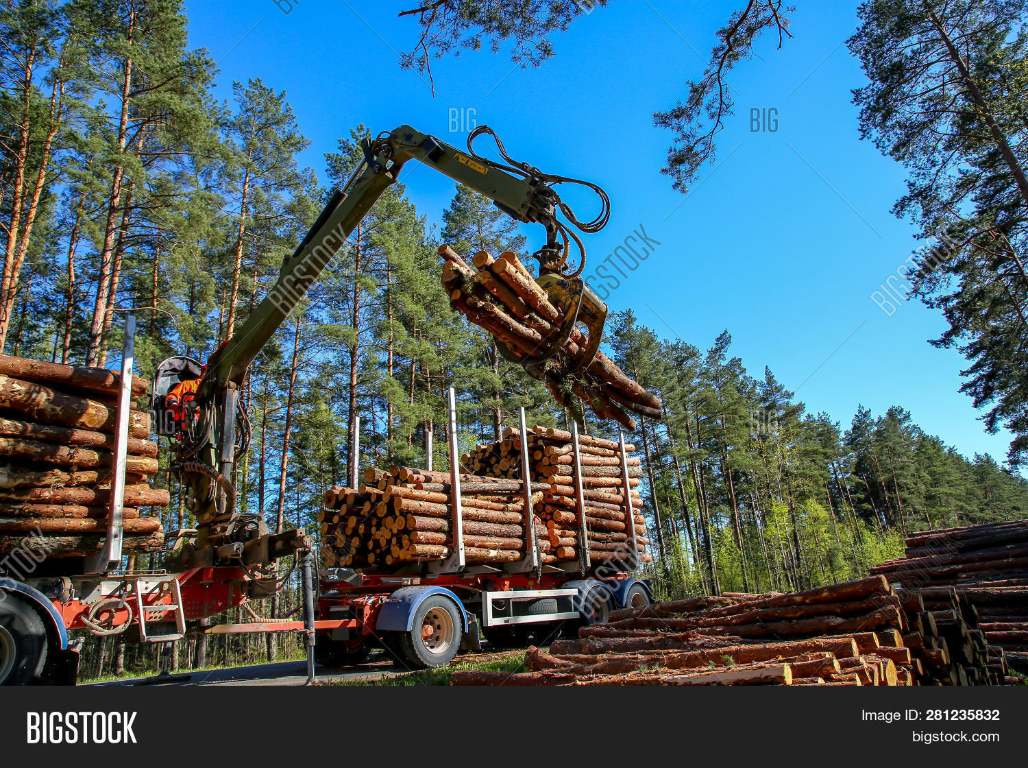 Crane Forest Loading Image & Photo (Free Trial) Bigstock