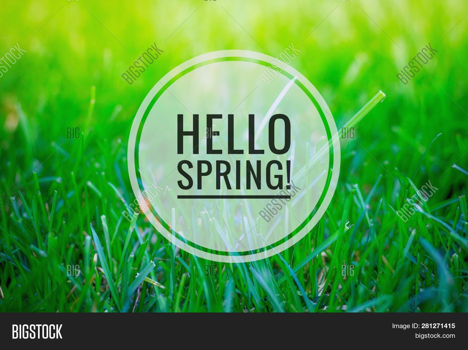 Hello Spring Banner . Image & Photo (Free Trial) | Bigstock