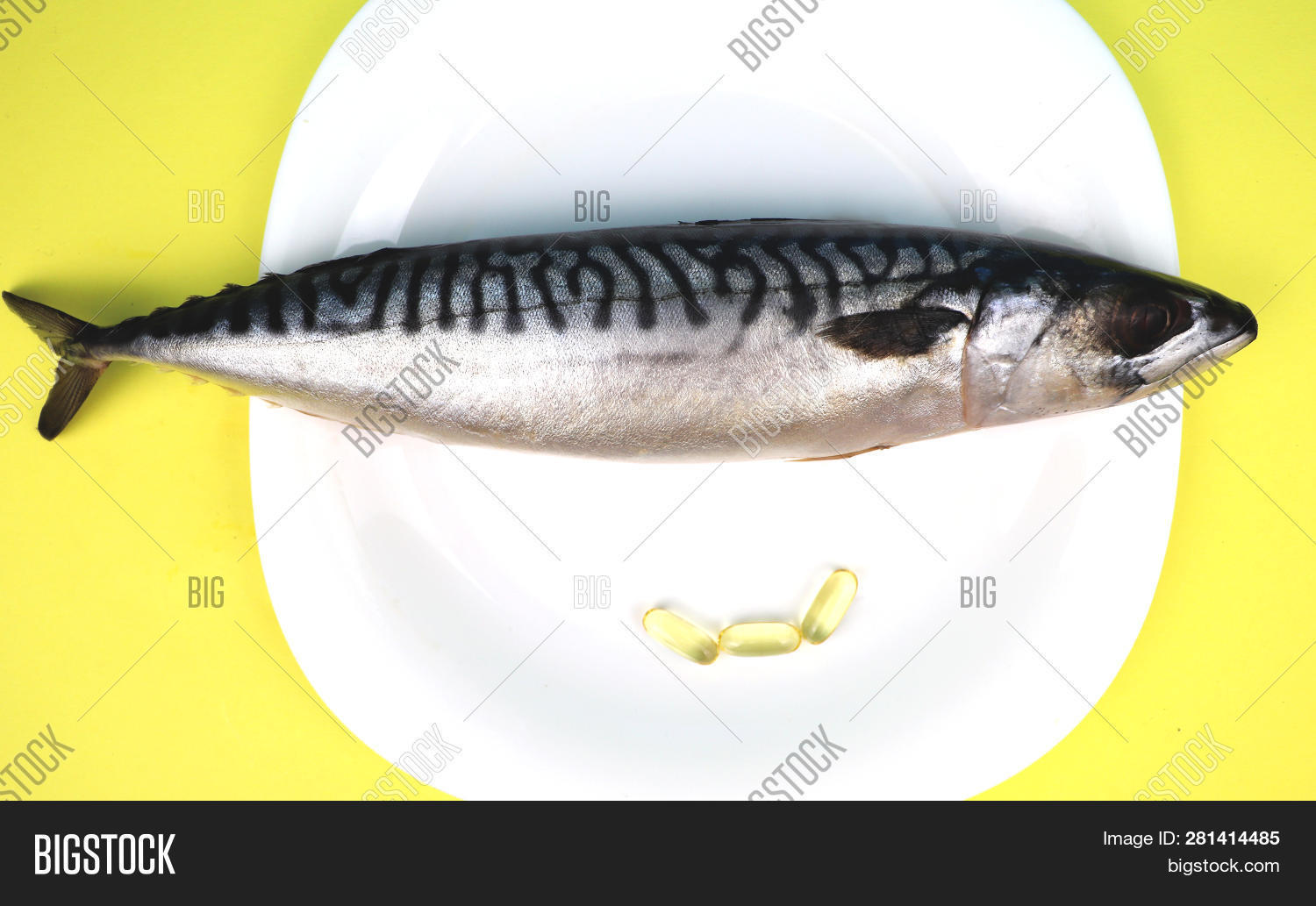 Oily Fish Mackerel () Image & Photo (Free Trial) Bigstock