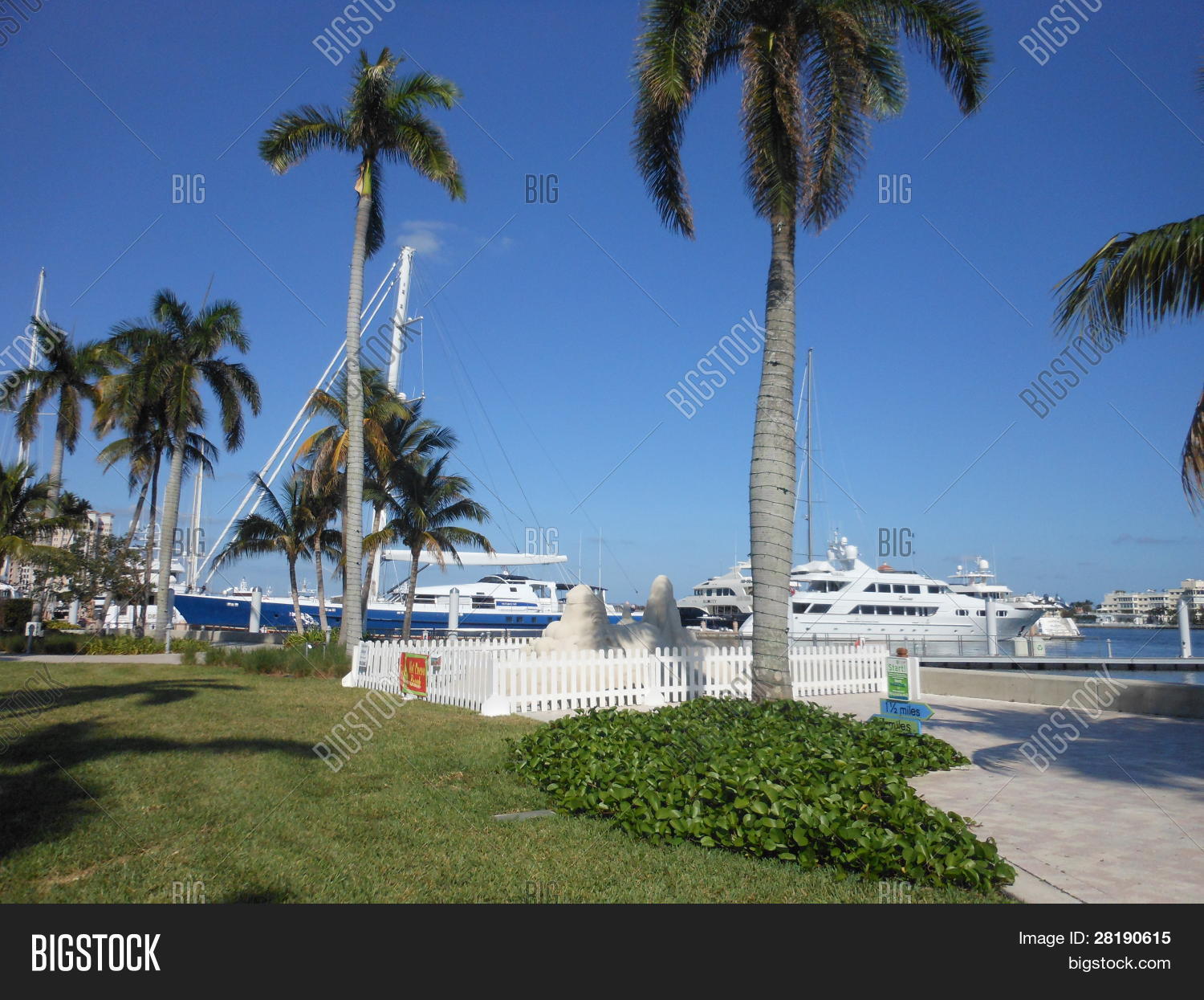 Palm Beach Yacht Club Image & Photo (Free Trial) Bigstock