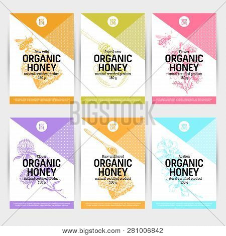 Beautiful Vector Hand Honig Products Card Set. Detailed Trendy Style Backgrounds. Modern Sketch Elem