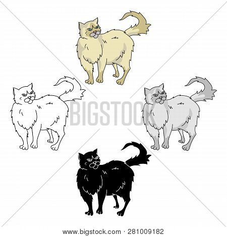 Persian Icon In Cartoon Style Isolated On White Background. Cat Breeds Symbol Stock Vector Illustrat