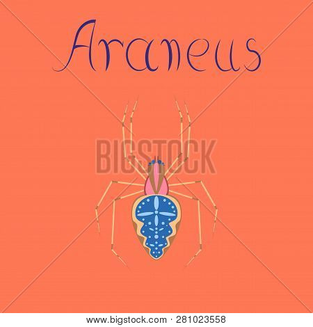 Flat Illustration On Background Spider Araneus Cartoon, Animal, Biology