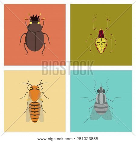Assembly Flat Illustrations Bug Scarab Araneus Bee Fly