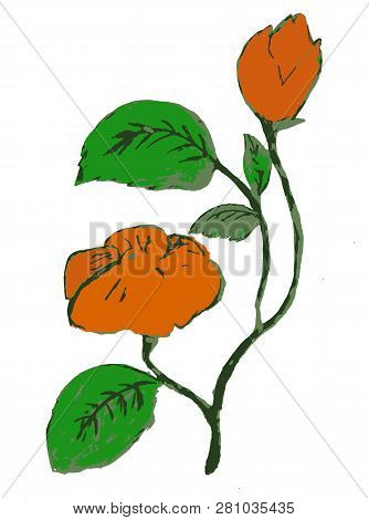 Red Flawer And Green Leaf.  Retro Floral White Background