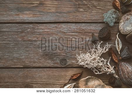 Dried Roots, Nut Shell, Coconuts, Dry Plants, Eucalyptus, Lotus Seeds For Floristic Design On Wooden
