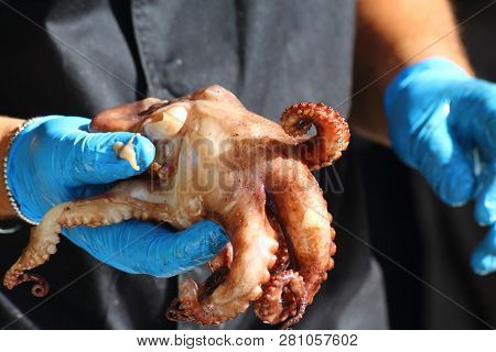 Cook Cleans And Prepares An Octopus For Cooking On The Grill