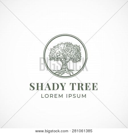 Shady Tree Abstract Vector Sign, Symbol Or Logo Template. Hand Drawn Tree Sketch Sillhouette In A Ci