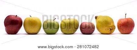 Seven Apples Of Different Types Isolated From The White Background