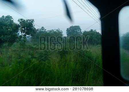 Wilpattu National Park, Sri Lanka Road Dawn