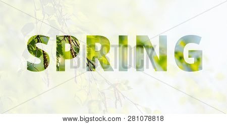 Spring Background, Banner. The Inscription Spring On The Background Of A Blossoming Birch Tree. Mult