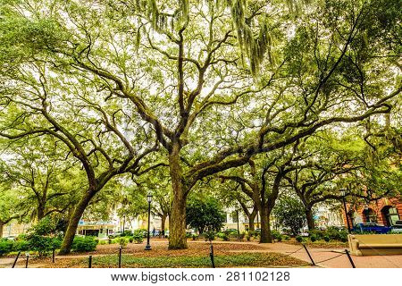Savannah, Georgia - January 8, 2016: Savannah Is The Oldest City In Georgia. From The Historic Archi