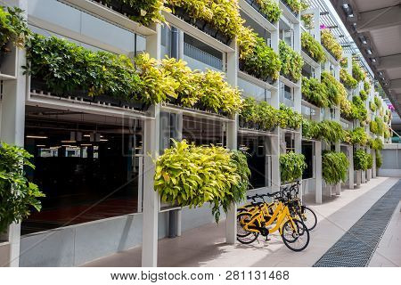 Rent A Bike With Yellow Bikes In Singapore