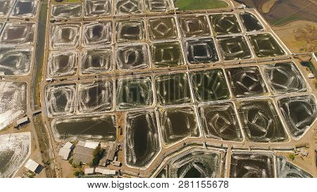 Shrimp Farm, Prawn Farming With With Aerator Pump Oxygenation Water Near Ocean. Aerial View Fish Far