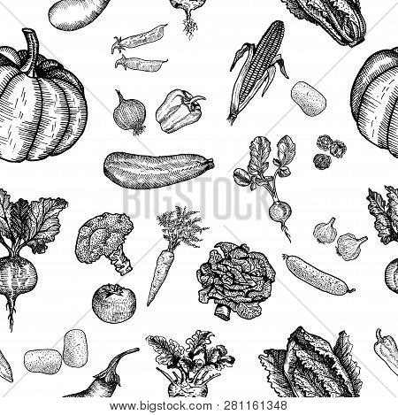 Seamless Pattern Of Vegetable. Beautiful Hand Drawn Illustration Vegetable.