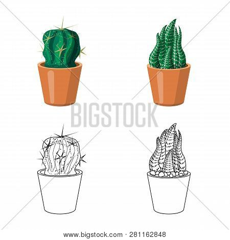 Vector Design Of Cactus And Pot Icon. Set Of Cactus And Cacti Vector Icon For Stock.