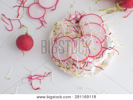 Healthy Snack Concept Rice Bread Crispy Bred Radish Slices Sprouts Marrow Slices Cottage Cheese High