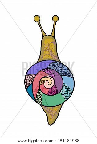 Snail With Colorful Shell On A White Background