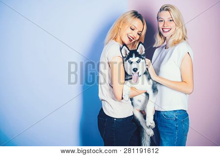 The Best Dog Ever. Pretty Women Hold Pedigree Dog. Sexy Women With Dog Pet. Happy Girls With Sensual