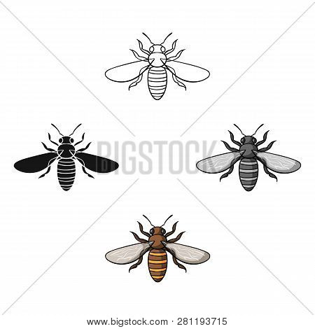 Bee Icon In Cartoon Style Isolated On White Background. Insects Symbol Stock Vector Illustration.