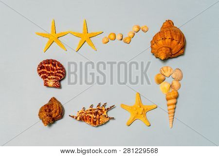Summer Composition. Frame Made Of Different Seashells And Starfish Lying On Ligth Blue Paper Backgro