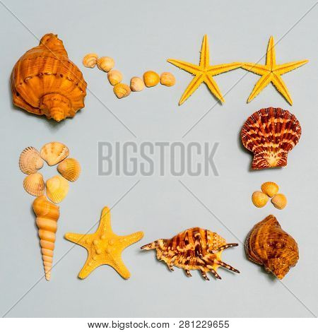 Summer Composition. Frame Made Of Different Seashells And Starfish Lying On Ligth Blue Paper Backgro