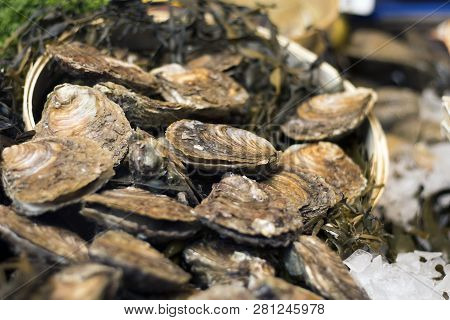 The Pool Arbour Rare Native Oysters And Cherrystone Clams On Ice At The Borough Market In London