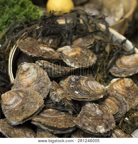 The Pool Arbour Rare Native Oysters And Cherrystone Clams On Ice At The Borough Market In London
