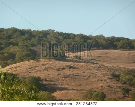 Open Space On Hill In Almaden Valley In San Jose