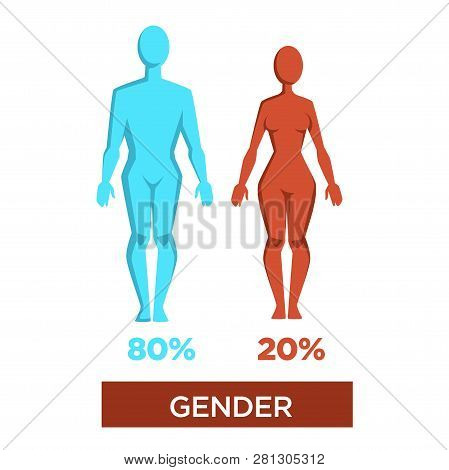 Human Gender Percentage Masculinity And Femininity Vector Illustration
