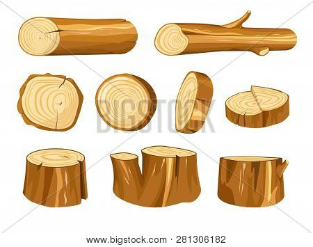 Wood Stump And Log Wooden Forest Natural Materials