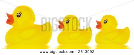 Famille canard jouet