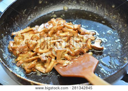 Fried Chanterelle Mushrooms Recipe. Sauteed Chanterelle Mushrooms (cantharellus Cibarius) Frying Pan