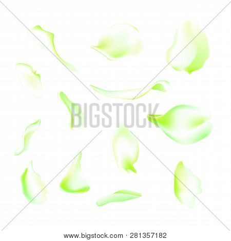 Vector Set Of Green Falling Rose And Sakura Petals. Blurred Spring Blossom Petal Set With Decorative