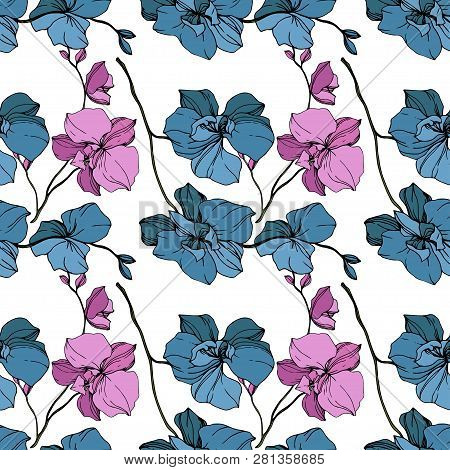 Vector Pink And Blue Orcid Floral Botanical Flower. Engraved Ink Art. Seamless Background Pattern.