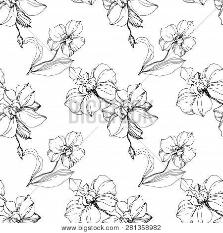 Vector Orcid Floral Botanical Flower. Black And White Engraved Ink Art. Seamless Background Pattern.