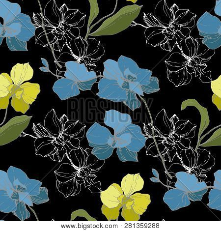 Vector Blue And Yellow Orcid Floral Botanical Flower. Black And White Engraved Ink Art. Seamless Bac