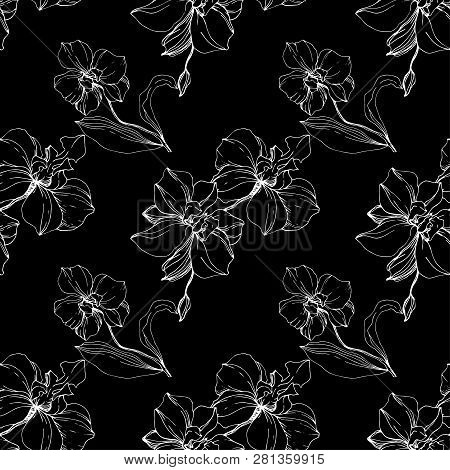 Vector Orcid Floral Botanical Flower. Engraved Ink Art. Seamless Background Pattern.