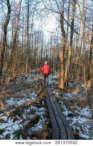 Man Out Walking On Footbridge In A Forest