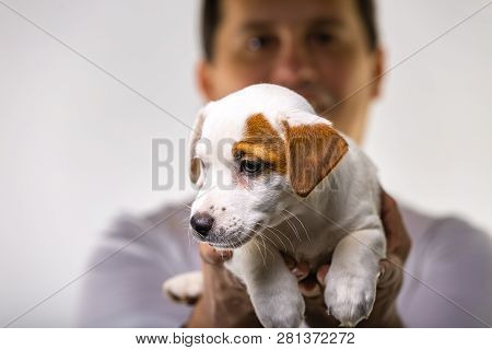 Horizontal Portrait Of Handsome Cheerful Man Holds Jack Russell Terrirer, Has Glad Expression