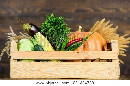 Box Or Basket Harvest Vegetables Wooden Background. Excellent Quality Vegetables. Grocery Shop Conce