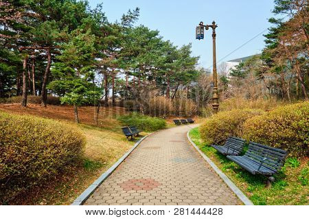 Path walk with benches in Yeouido Park public park in Seoul, Korea