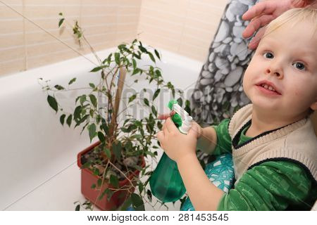 The Boy Is Caring For A Home Plant In The Bathroom. Ficus Benjamina
