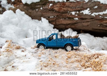 Moscow. January 2019. Blue Toy Pickup Truck Ford F350 In Sawmill. Carrying Fir Cones. Sawdust In Sno